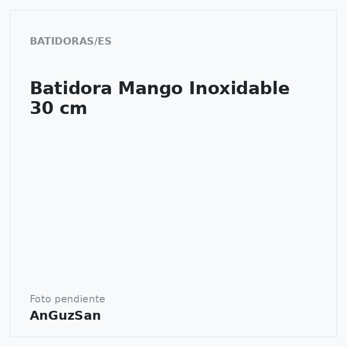 Batidora Mango Inoxidable 30 cm