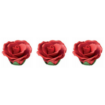 Rosa Con Cáliz
