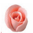 Rosa Metalizada Rosa