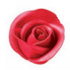 Rosa Metalizada Roja Grande
