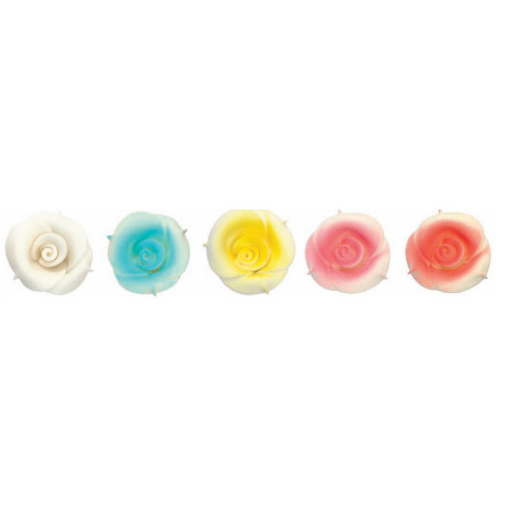 Rosas Difuminadas Surtidas