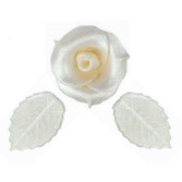 Rosa y Hojas Plata