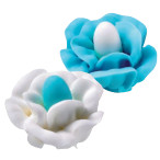 Rosa Bicolor Azul y Blanca