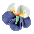 Violeta