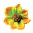 Girasol Pequeño