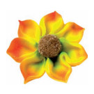 Girasol Grande