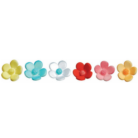 Flores de 5 Pétalos