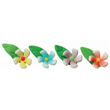 Flor de Primavera