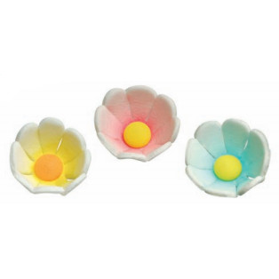 Flores Silvestres