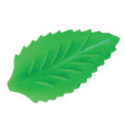 Hoja Nº 1