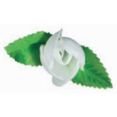 Rosa 2 Hojas Blanca