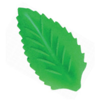 Hoja nº 1
