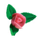 Rosa Extra Rosa