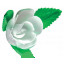 Rosa nº 7 con Hojas Blanca