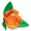 Rosa nº 7 con Hojas Salmón