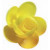 Rosa nº 1 Amarilla