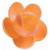 Rosa nº 1 Salmón