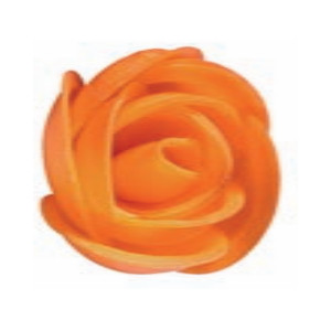 Rosa nº 2 Salmón