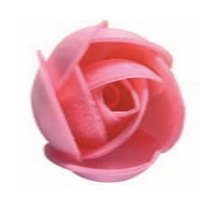 Rosa N-2 Rosa      