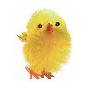 Pollo Amarillo 3 Cms     