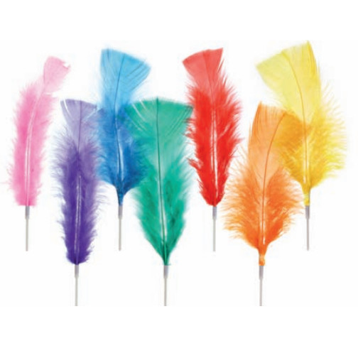 Plumas Grandes Unicolor      