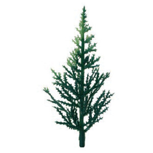 Árbol Conifero       