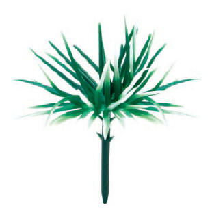 Planta Pick       