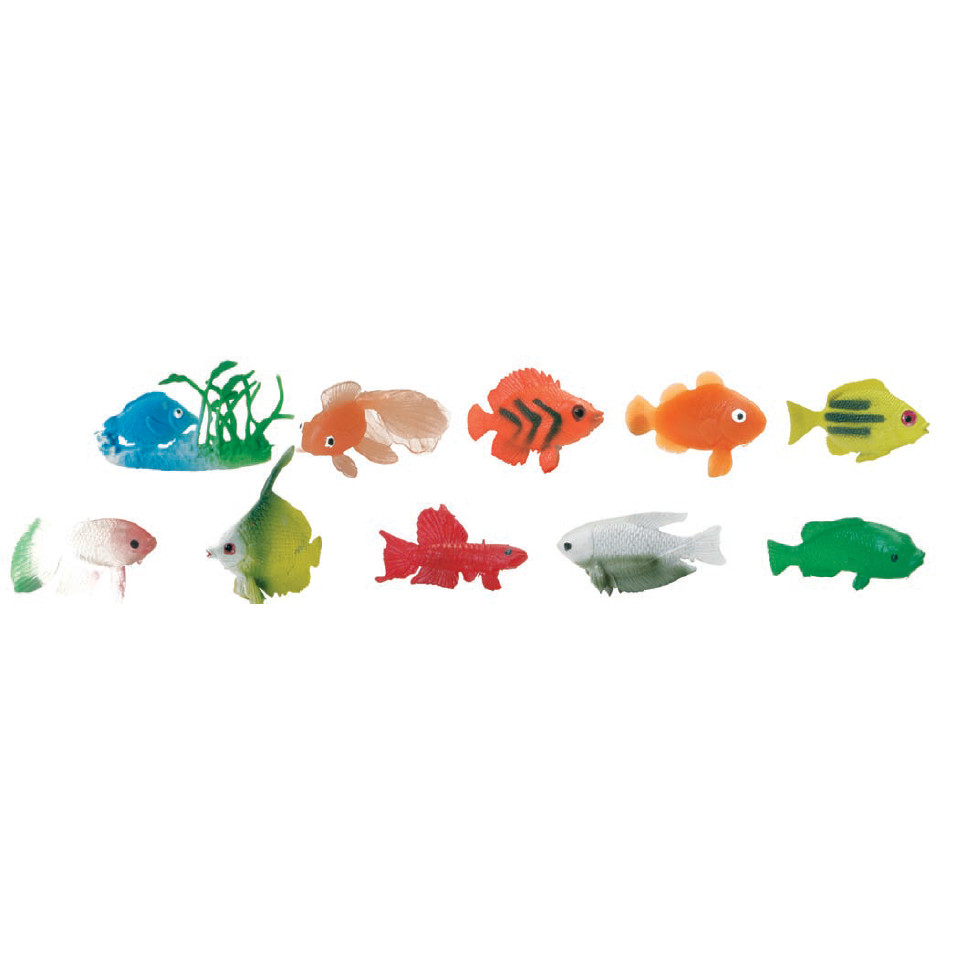 Peces Tropicales       