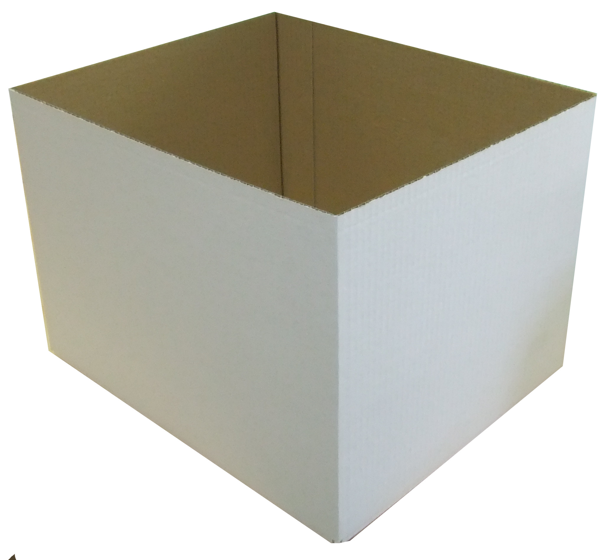 Caja Transportadora de Churros