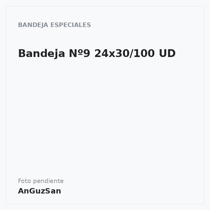 Bandeja  Nº9 24x30/100 UD