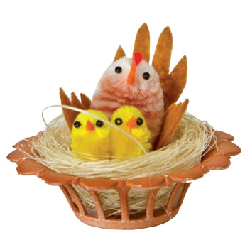 Pollito nido