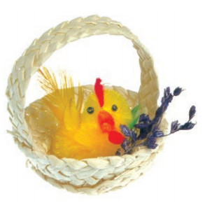 Cesta primavera 4 cm