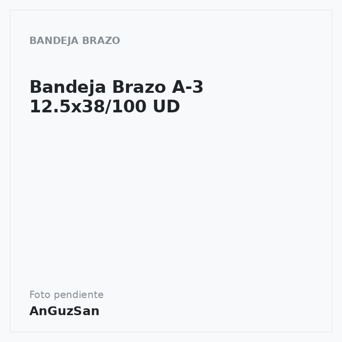 Bandeja Brazo A-3 12.5x38/100 UD
