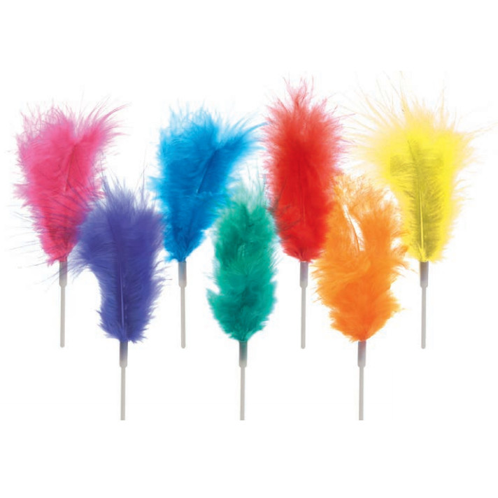 Plumas Surtidas Marabú