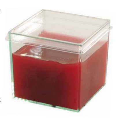 Tapa Transparente