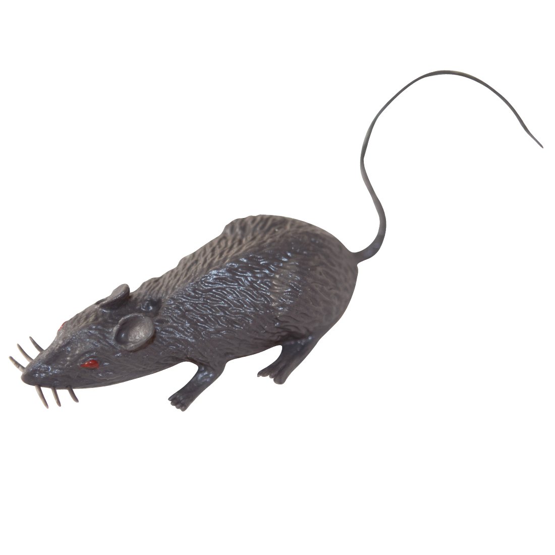Rata Pequeña Halloween