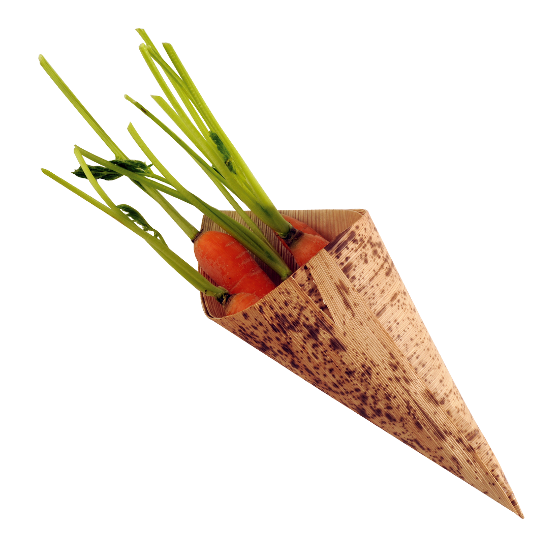 Cono de Bambú · ref VO13401
