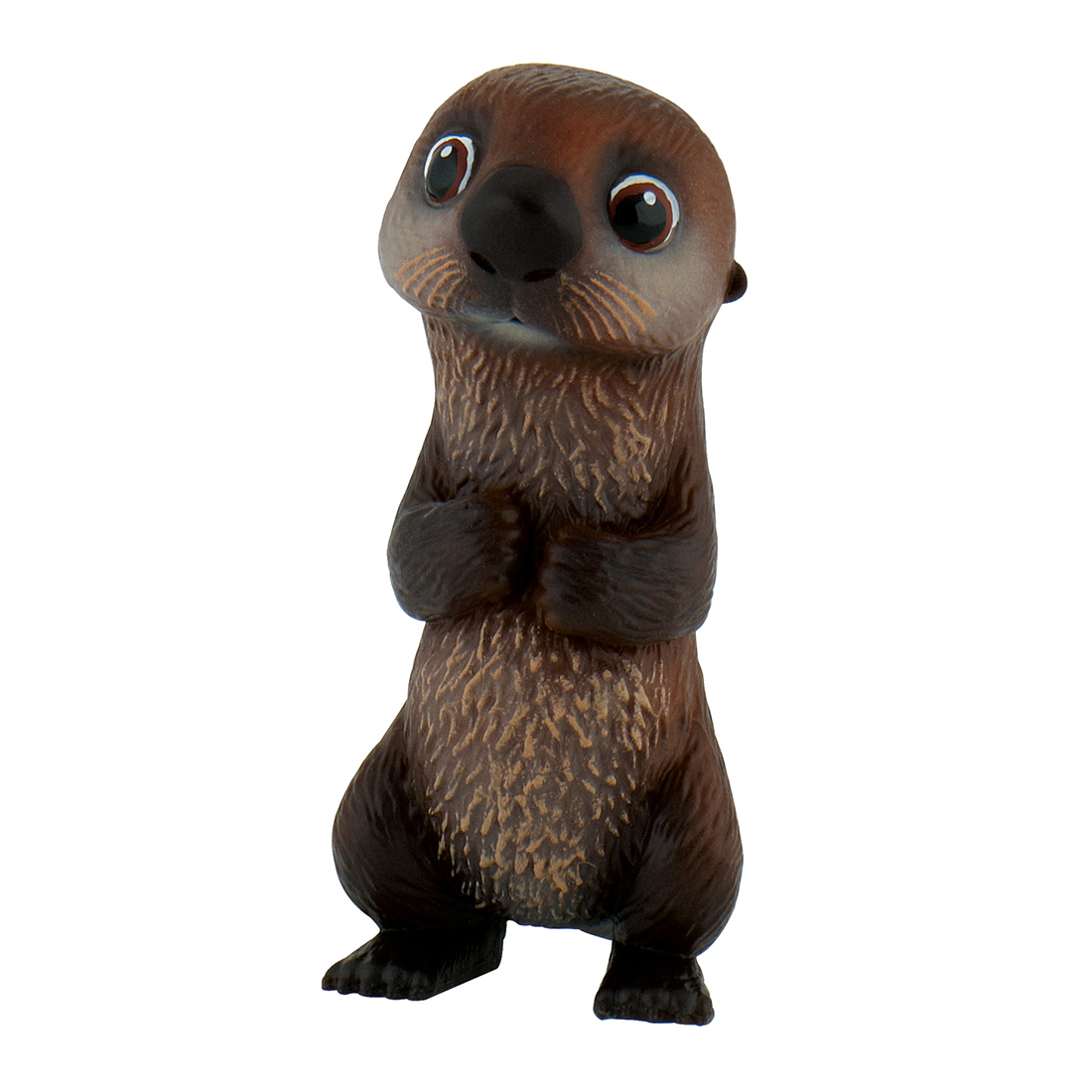 Buscando A Dory *Otter*