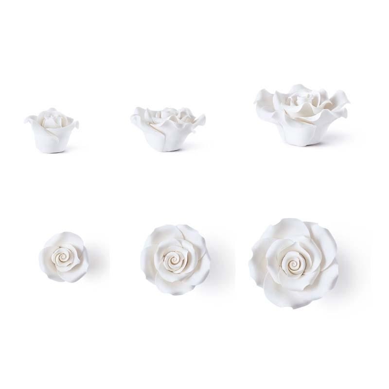 Rosa Blanca 40/50/60