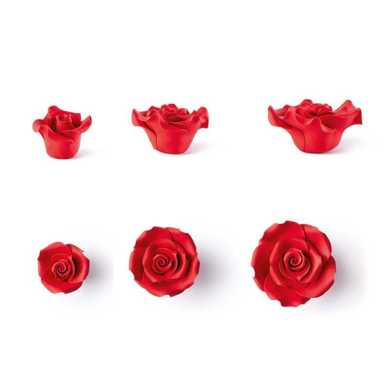 Rosa Roja 40/50/60