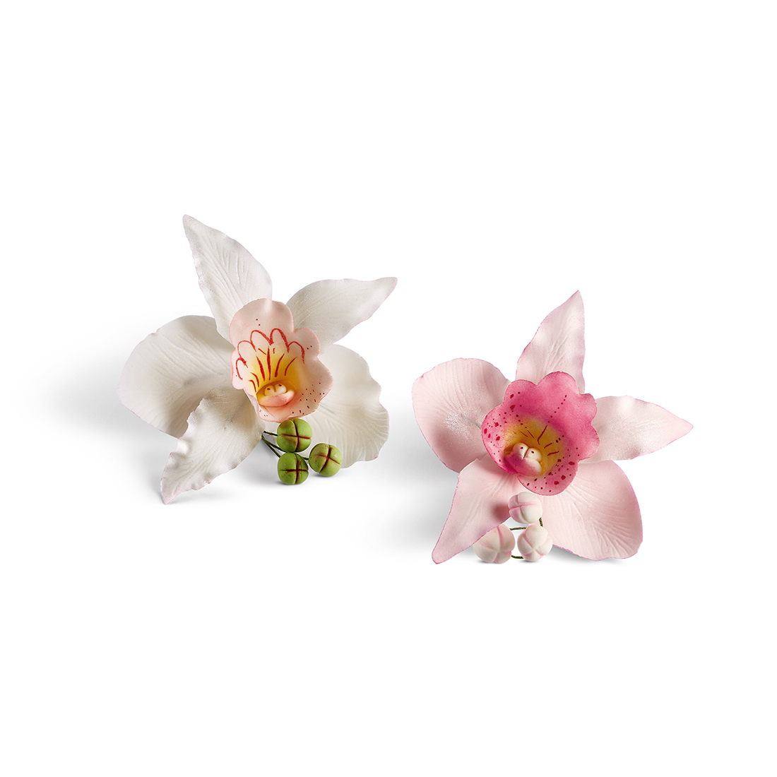 Orquídeas de Azúcar de Pastillaje