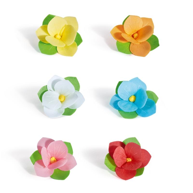 Peonia Surtida Tupper Artipas