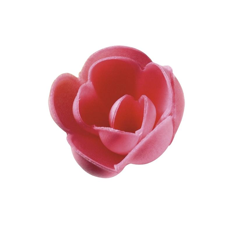 Rosa N-7 Rosa Caja Artipas