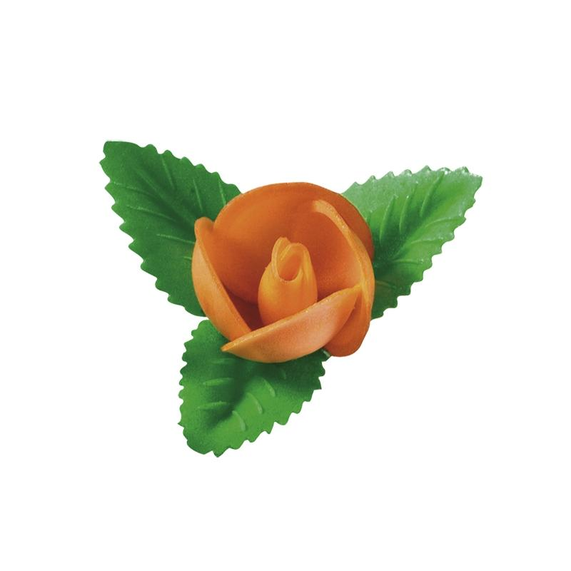 Rosa Extra Salmón Caja Personalizada