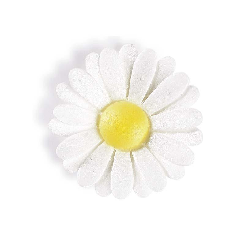 Margarita Blanca Tupper Artipas