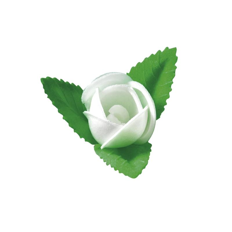 Rosa Extra Blanca Tupper Artipas