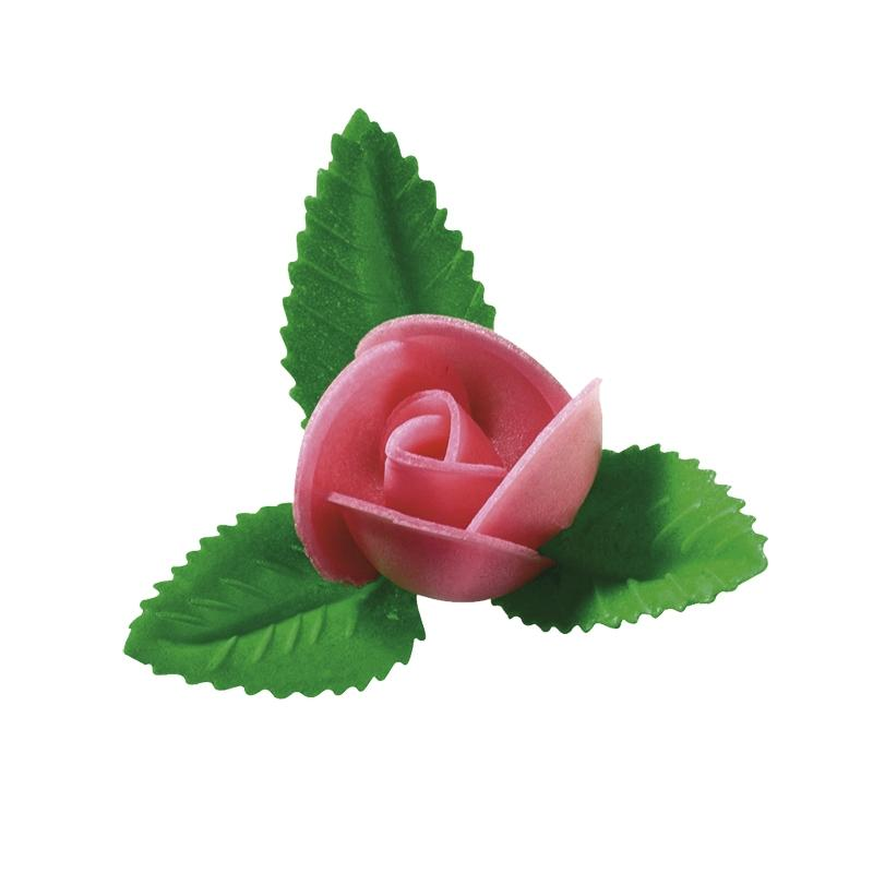 Rosa Extra Rosa Tupper Artipas