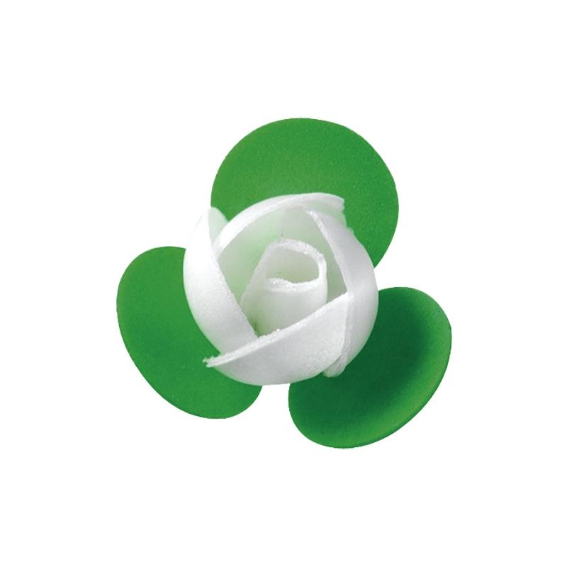 Nueva Rosa 3 H. Blanca Tupper Artipas