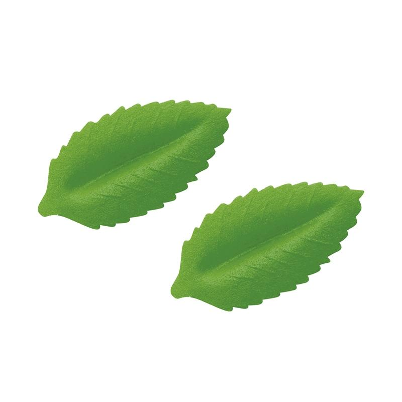 Hojas N-2 Verde Tupper Personalizado · ref F10212T