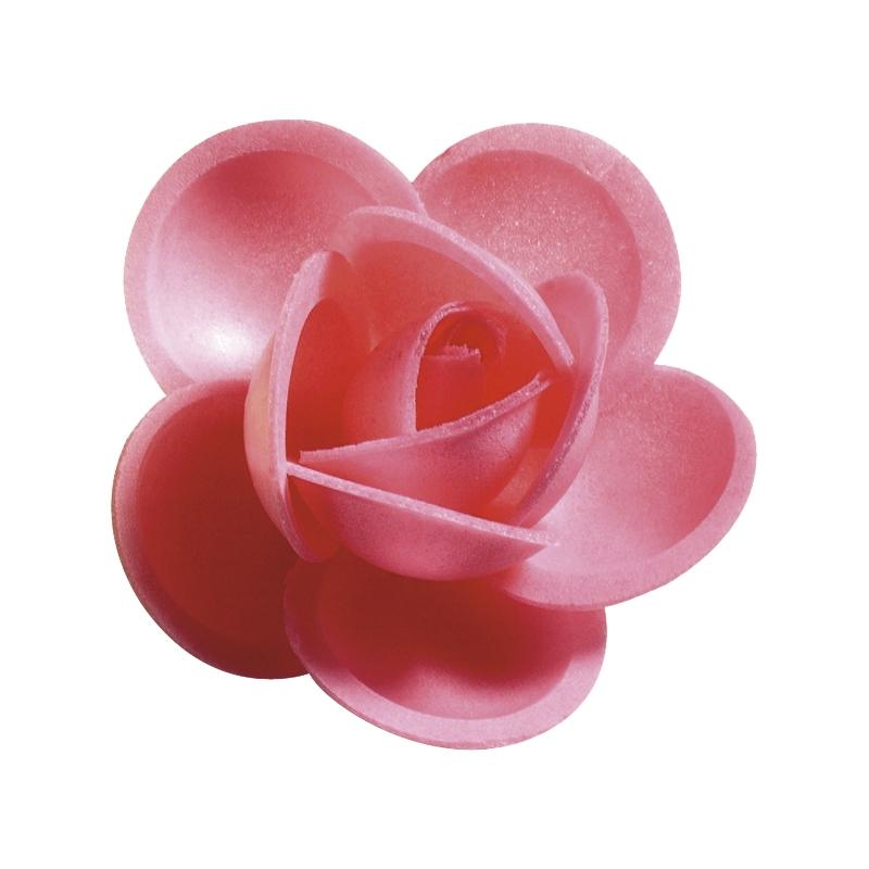 Rosa N-3 Rosa Tupper Personalizado